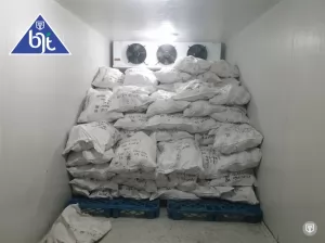 Cold Storage untuk Produk Beku: Solusi Penyimpanan Optimal dari BJT